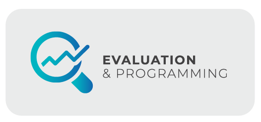 EVALUATION AND PROGRAMMING icon